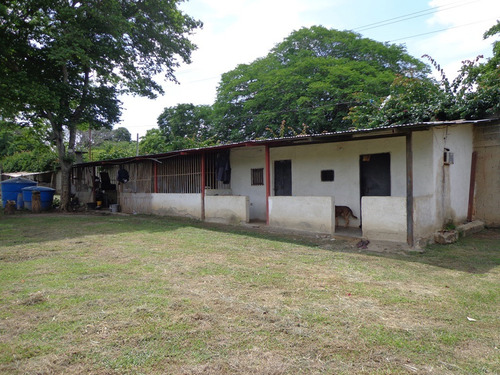 Granja En Cabudare Los Naranjillos, Via El Palaciero