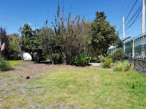 Imagen 14 de 30 de Terreno En Venta Toluca Por Av. Comonfort