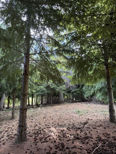 Terreno En Trevelin
