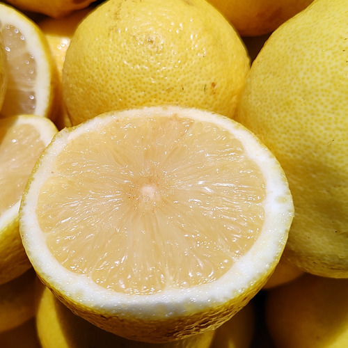 Limón Deshidratado Rodajas 250g (130 Rodajas Aprox)