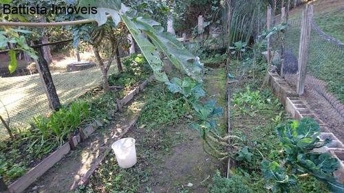 Imagem 26 de 30 de Chacara - 1653 - 34237545