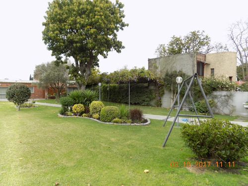 Imagen 5 de 10 de Jardinería, Mantenimiento De Espacios Verdes