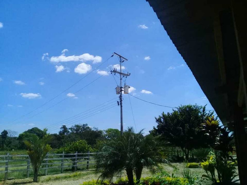 Imagen 4 de 30 de Finca De 440 Has En Cojedes-acarigua. 3 Pozos De Agua, Electricidad.