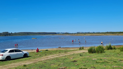 Parcela 10.000 M2 (1 Hectárea) - La Pasada - Maullín