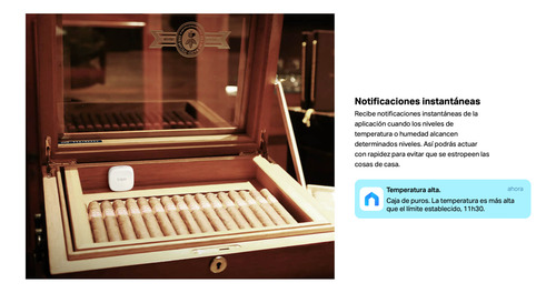 Sensor De Temperatura & Humedad Tapo T310 Matter Homekit