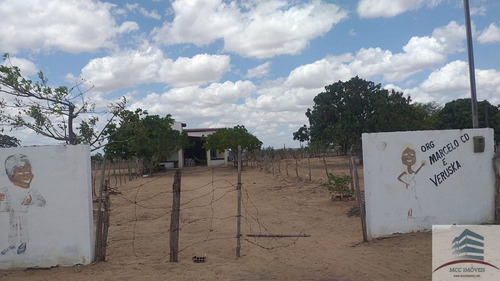 Imagem 6 de 14 de Granja A Venda Em Tangará