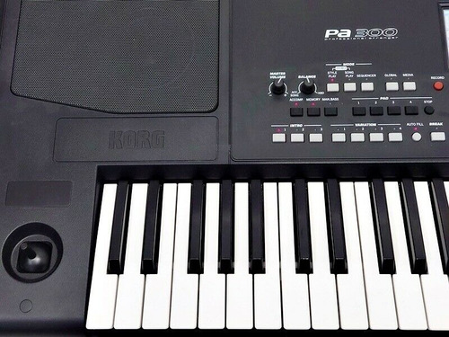 Imagen 5 de 5 de Korg Pa300 Teclado Electrónico De 61 Teclas Arreglista Profe