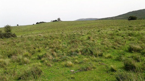 Campo Ganadero En Ruta 60