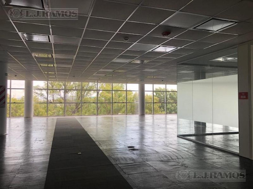 Imagen 8 de 17 de Alquiler De Oficina De 400 M2 En Vicente López
