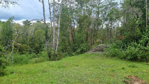 Agro-parcela En Venta Lomas De Chancoyán