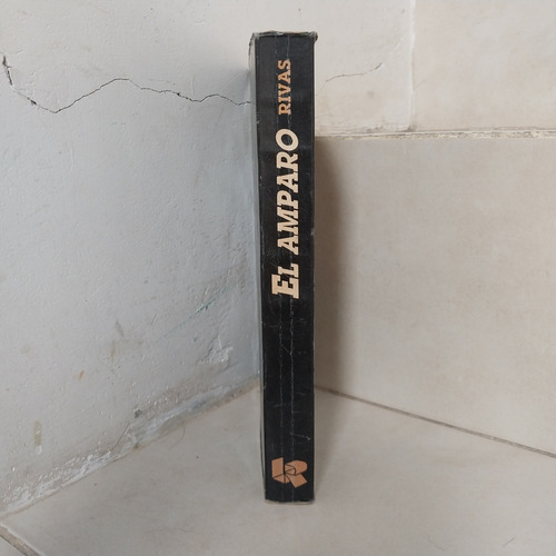 Derecho. El Amparo. Adolfo Armando Rivas (Usado)