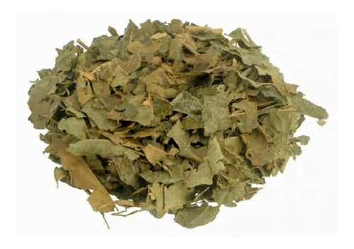 Chá De  Porangaba 100 Gramas - Cultivado Organicamente 