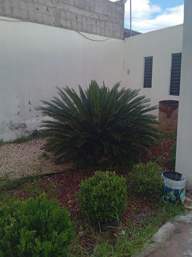 Imagen 3 de 13 de Casa De Una Planta En Venta Fracc Zootecnia