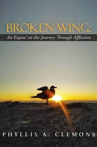 Broken-wing, De Phyllis A Clemons. Editorial Westbow Press, Tapa Blanda En Inglés
