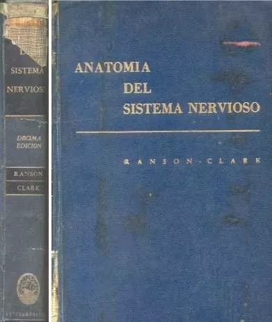 Walter Ranson - Sam Clark: Anatomia Del Sistema Nervioso