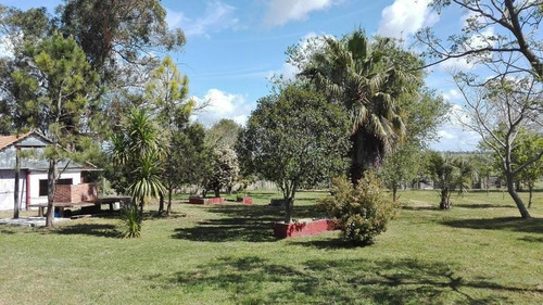 Excelente Campo En Canelones Sobre Ruta 5, 150 Has Agricolas.