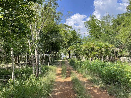 Venta De Finca De 103 Hectáreas A 24 Km De Mérida