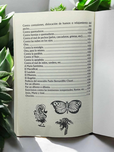 Libro Santa Cruz De Caravaca - Devoción Y Poder + Regalo