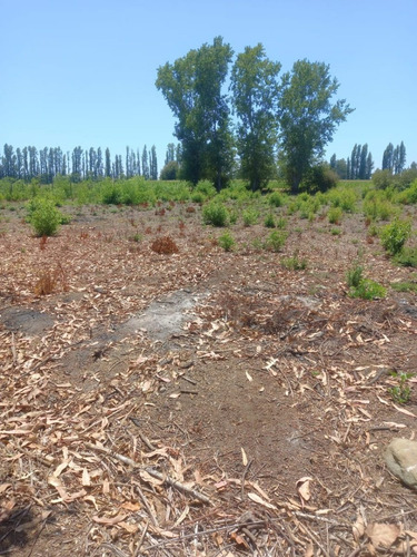 Parcela 5000 M2 Con Amplia Casa En Colbún- Linares