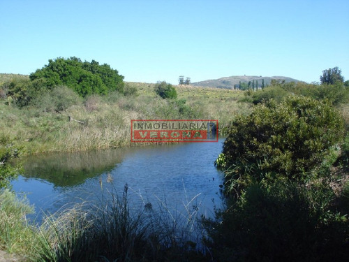 Campo 96 Has En Carape Cuenta Con Costa De Arroyo.