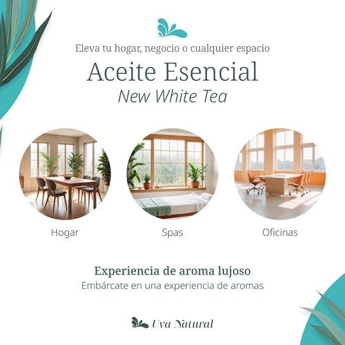 Uva Natural - Aceite Esencial New White Tea 500 Ml