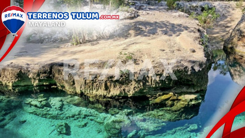 Cenote Con 17.5 Hectareas Con Frente De Carretera