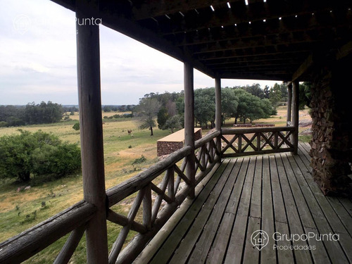 Imagen 2 de 29 de Chacra En Venta - La Pataia