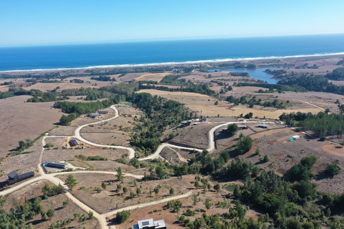 Mar Y Bosque Sobre Punta De Lobos
