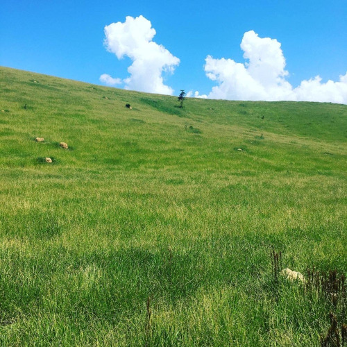 Imagem 10 de 13 de 16- Lotes Com Ótimo Acesso,vista,e Escritura Individualizada