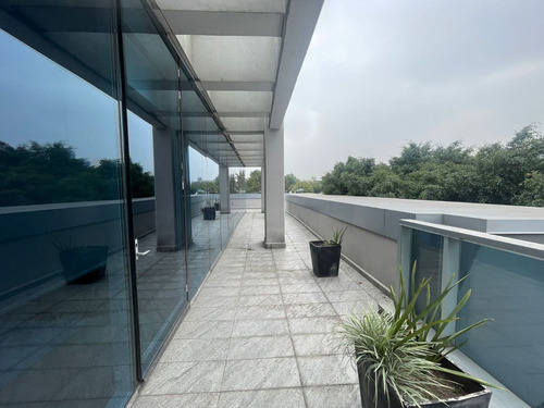 Oficina En Renta En Lomas De Chapultepec