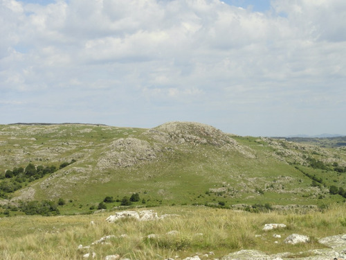 Campo En Venta En La Coronilla (ref: Atm-4270)