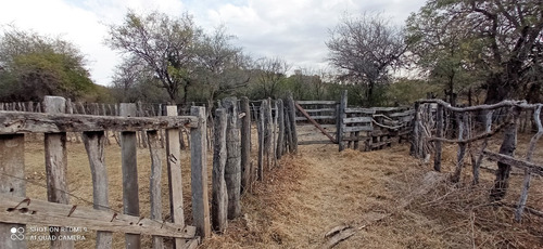 Imagen 2 de 21 de C07 119 Has De Campo Ganadero En San Carlos Mina