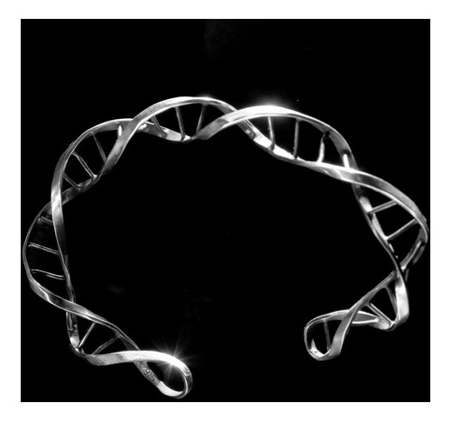 Pulsera Adn Plata 925 Diámetro 6 Cm Largo 16 Cm