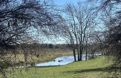 Venta Lote - Estancia Carabassa - Pilar | Vco Propiedades