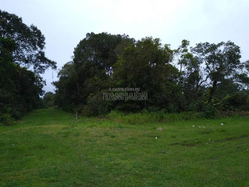 Imagem 3 de 3 de Lote A Venda Em Itanhaém. - Sue3