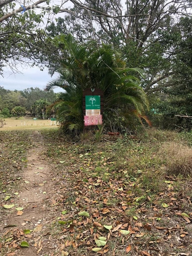 Imagen 3 de 15 de Venta De Terreno Campestre En Tampico-tuxpan