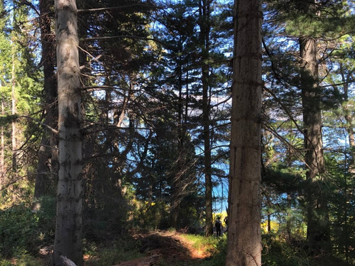 Imagen 10 de 30 de Exclusivo Lote 5.050 M2 Con Costa Lago N.huapi, Villa La Angostura - L 7