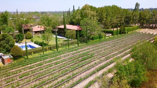 Terreno En Venta En San Miguel De Allende | Exclusividad Y Naturaleza