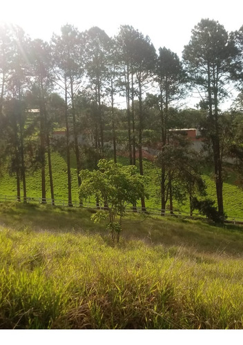 Imagem 7 de 8 de Condomínio De Chácaras Terreno 20x50 1000m2,muita Área Verde,bem Localizado,rota Do Vinho São Roque - Te00109 - 69314304