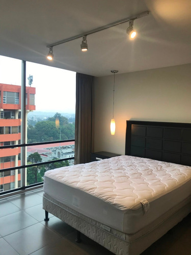 Imagen 3 de 4 de Apartamento En Alquiler Zona 9