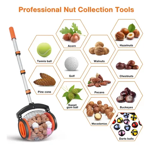 Recolector De Nueces De Rodillo – Cesta De Acero Con Mango Telescópico, Gran Capacidad (34x20 Cm)