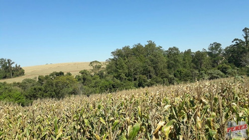 Imagem 7 de 30 de Chácaras_sítios_fazendas Para Venda - 13650.3266