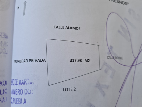 Terreno Venta 318 M2 Fraccionamiento Adoquinado Todos Servci