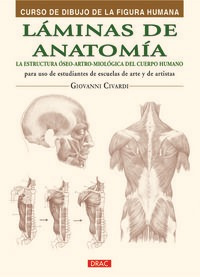 Laminas De Anatomia - Civardi, Giovanni