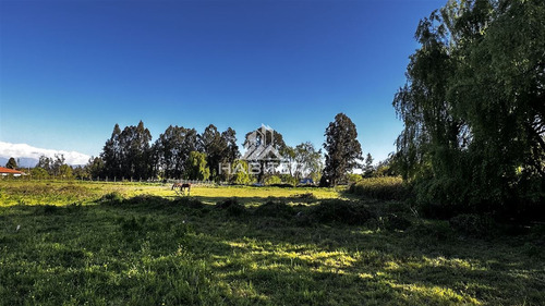 Oportunidad! Parcela Plana En Venta En Zapallar Curicó Km 4