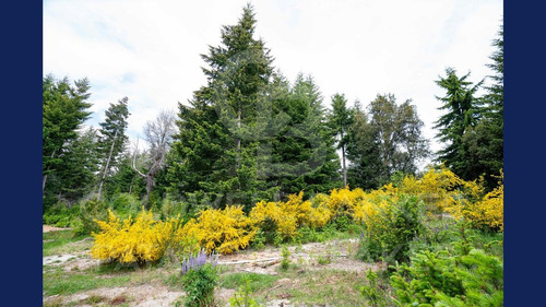 Imagen 6 de 19 de Venta Lote/terreno 3035m2 Barrio Puerto Nahuel - A Metros Del Lago Nahuel Huapi, Villa La Angostura