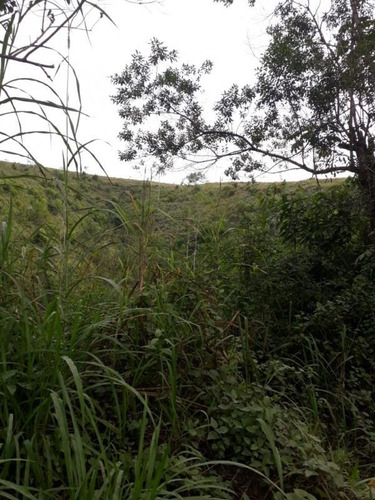 Imagem 4 de 15 de Ref.: 17534 - Fazenda Em Jacupiranga Para Venda - 17534