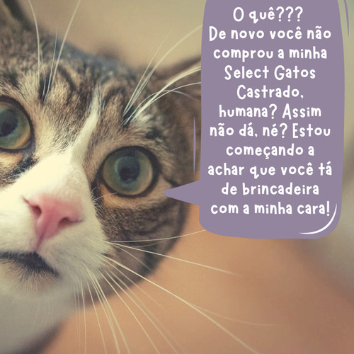 Ração Select Gatos Castrados 1,5kg