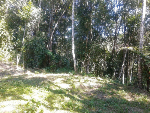 Imagem 5 de 5 de Chácara Chalé Em Juquitiba Cod: 4469
