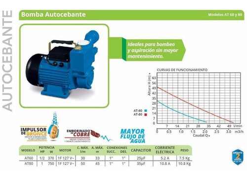 Imagen 2 de 6 de Bomba Periferica Autocebante 1 Hp Succiona En Red Igoto